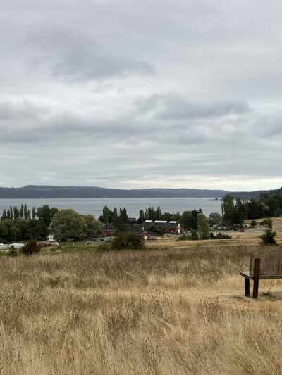 Greenbank Off-Leash Area - Greenbank, WA