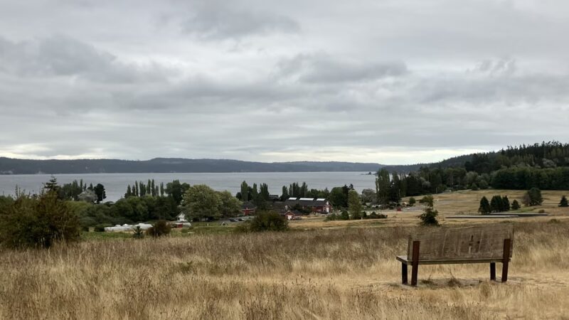 Greenbank Off-Leash Area - Greenbank, WA