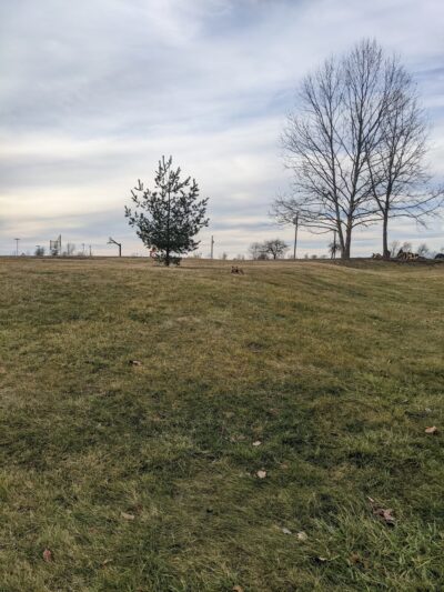 Big Walnut Sports Park - Greencastle, IN