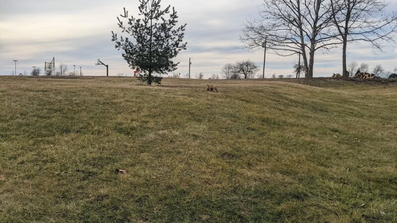 Big Walnut Sports Park - Greencastle, IN