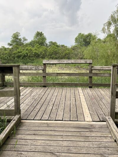 Beckenholdt Park - Greenfield, IN