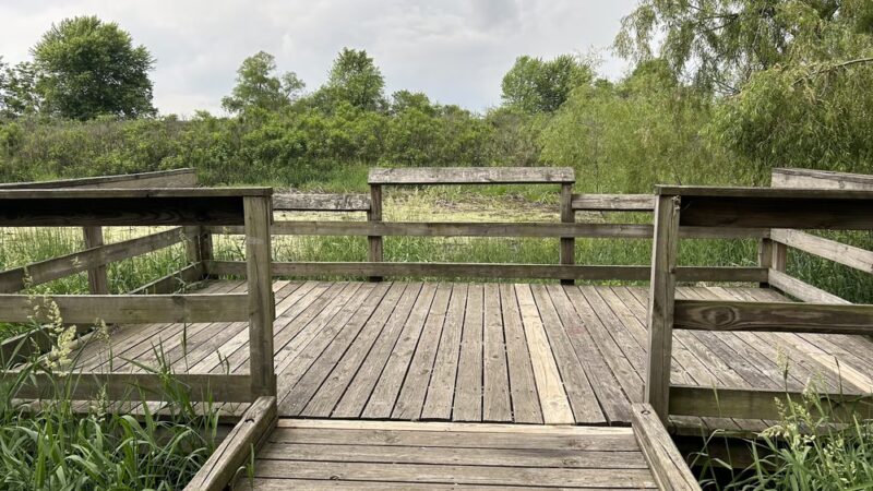 Beckenholdt Park - Greenfield, IN