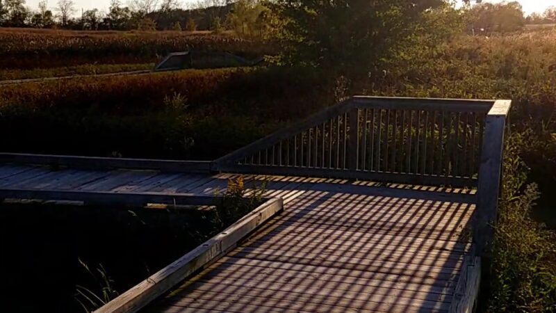 Beckenholdt Park - Greenfield, IN