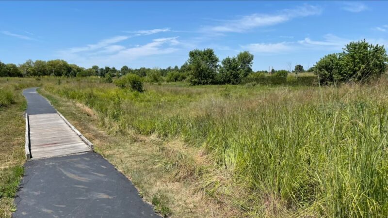 Beckenholdt Park - Greenfield, IN