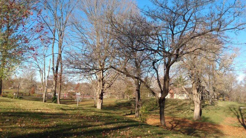 Riley Park - Greenfield, IN