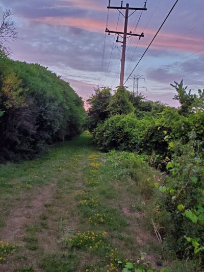 The Powerline Trail (trailhead 1 eastbound) - Greenfield, WI