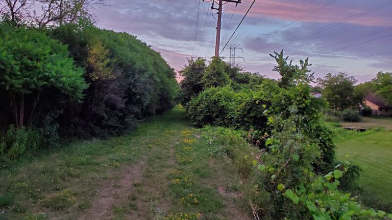 The Powerline Trail (trailhead 1 eastbound) - Greenfield, WI