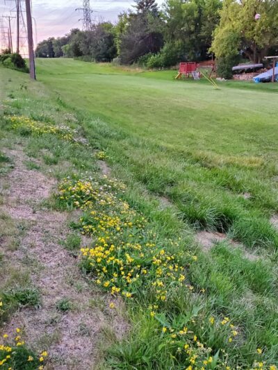 The Powerline Trail (trailhead 1 eastbound) - Greenfield, WI