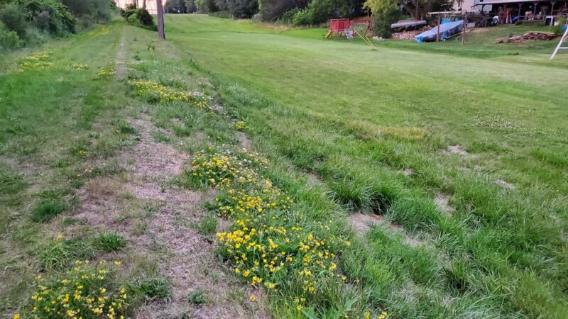 The Powerline Trail (trailhead 1 eastbound) - Greenfield, WI