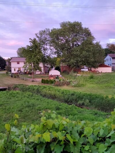 The Powerline Trail (trailhead 1 eastbound) - Greenfield, WI