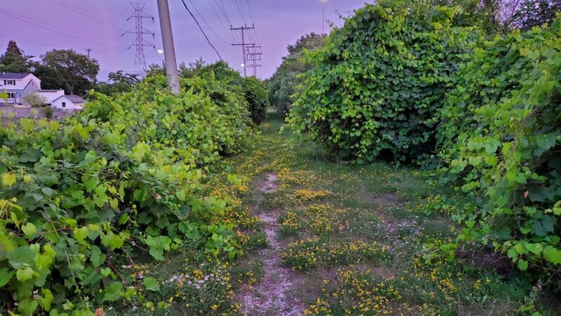 The Powerline Trail (trailhead 1 eastbound) - Greenfield, WI