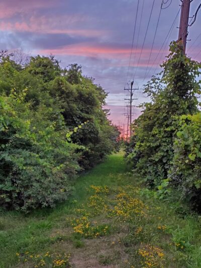 The Powerline Trail (trailhead 1 eastbound) - Greenfield, WI