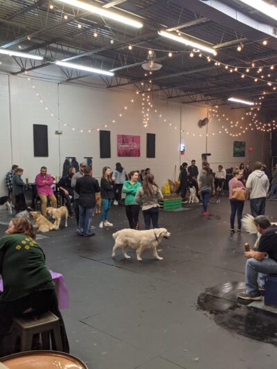 Doggos Dog Park & Pub - Greensboro, NC