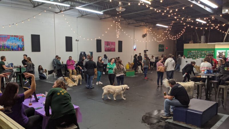 Doggos Dog Park & Pub - Greensboro, NC