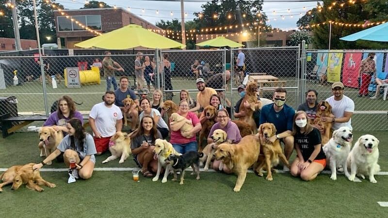 Doggos Dog Park & Pub - Greensboro, NC