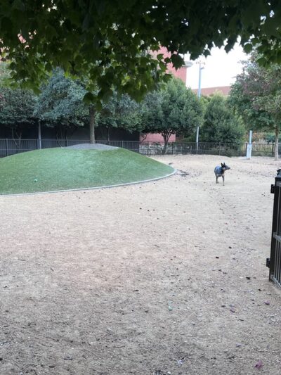 Downtown Greensboro Animal Hospital Dog Park - Greensboro, NC