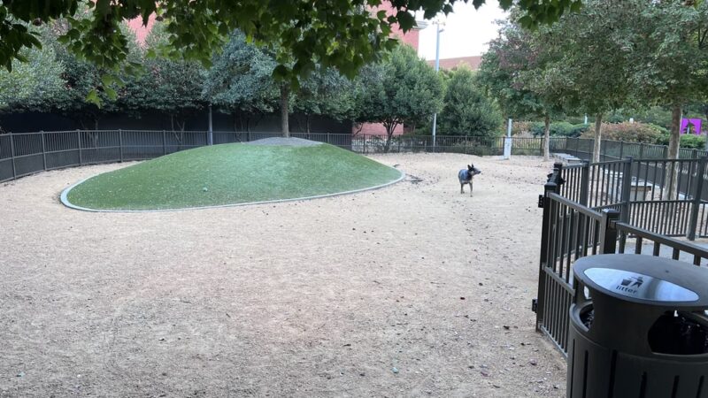 Downtown Greensboro Animal Hospital Dog Park - Greensboro, NC