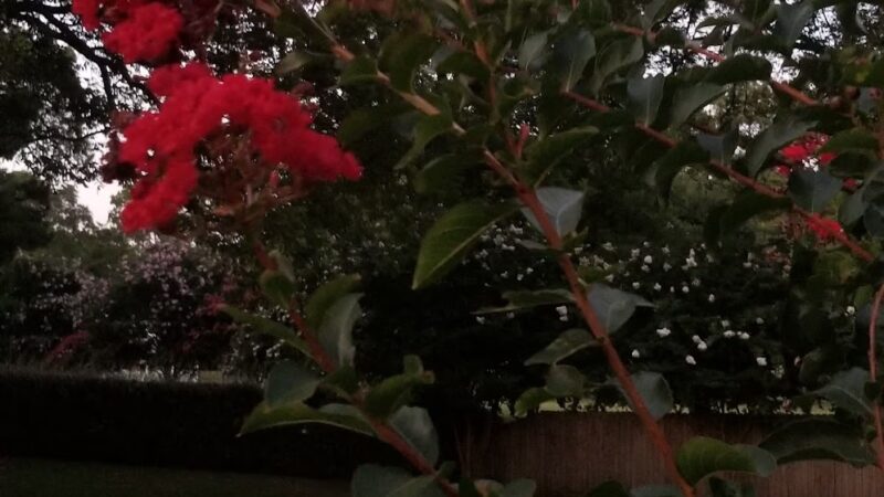 Greenville Park Commission - Greenville, MS