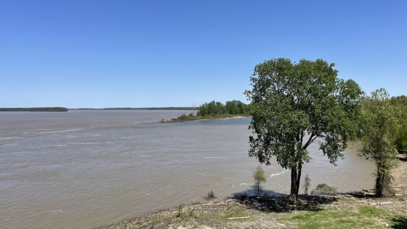 Warfield Point Park - Greenville, MS