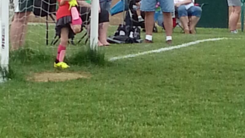 Greenville Area Sports Complex - Greenville, PA