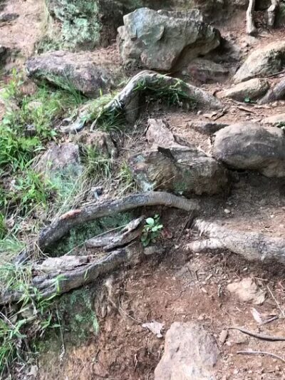 Paris Mountain State Park - Greenville, SC