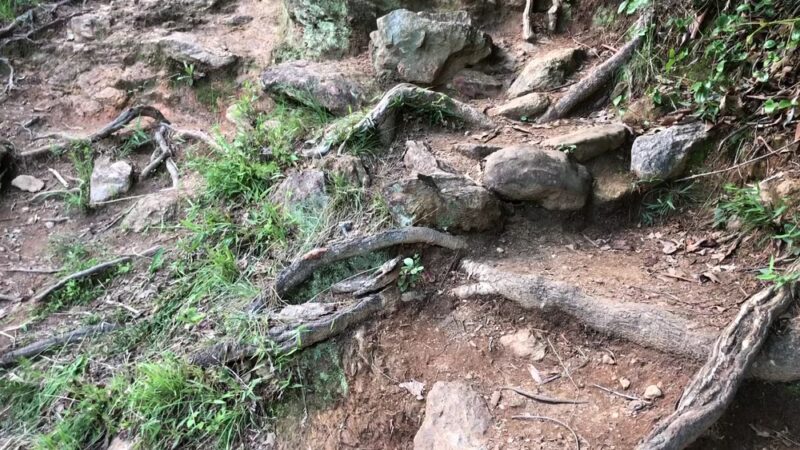 Paris Mountain State Park - Greenville, SC