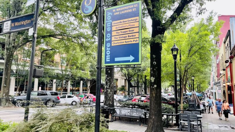 The Big Dog Show - Greenville, SC