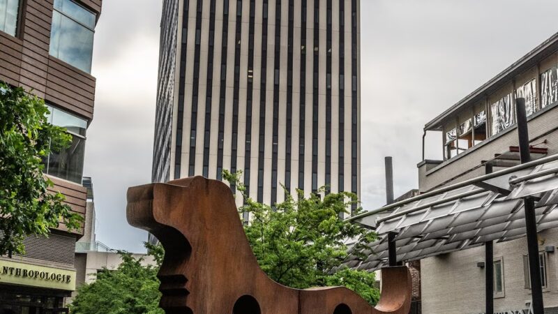 The Big Dog Show - Greenville, SC