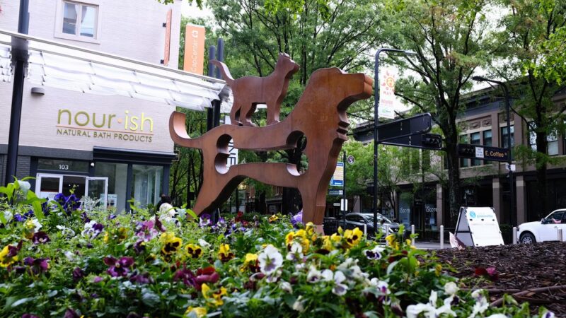 The Big Dog Show - Greenville, SC