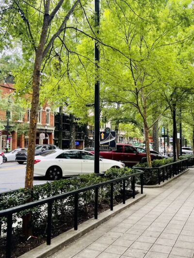 The Big Dog Show - Greenville, SC