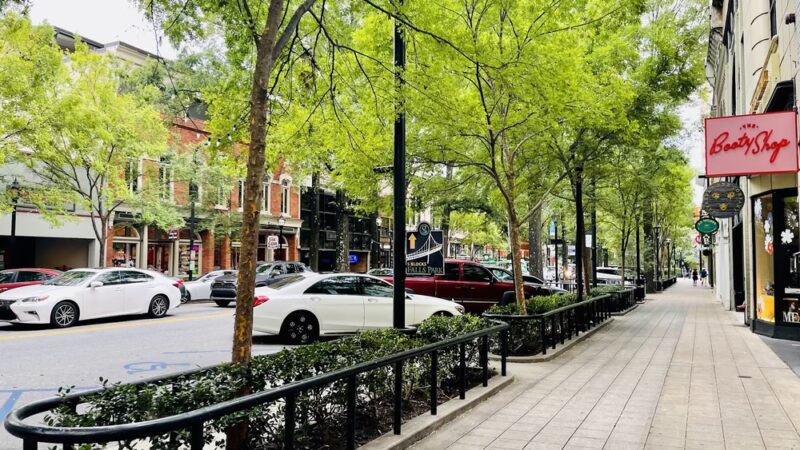 The Big Dog Show - Greenville, SC