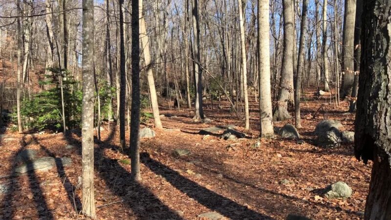 Babcock Preserve - Greenwich, CT