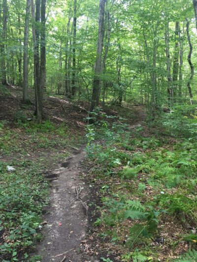 Babcock Preserve - Greenwich, CT