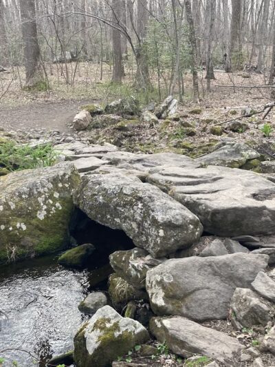 Babcock Preserve - Greenwich, CT