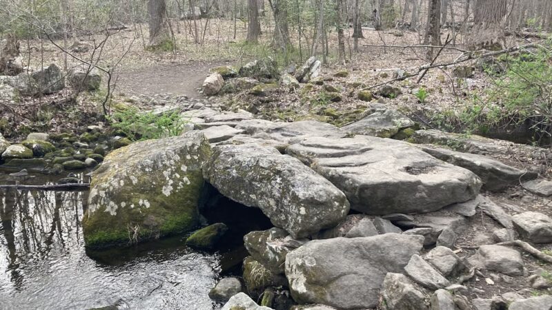 Babcock Preserve - Greenwich, CT