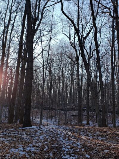 Babcock Preserve - Greenwich, CT