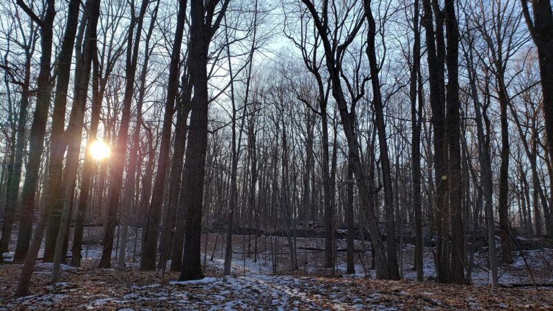 Babcock Preserve - Greenwich, CT