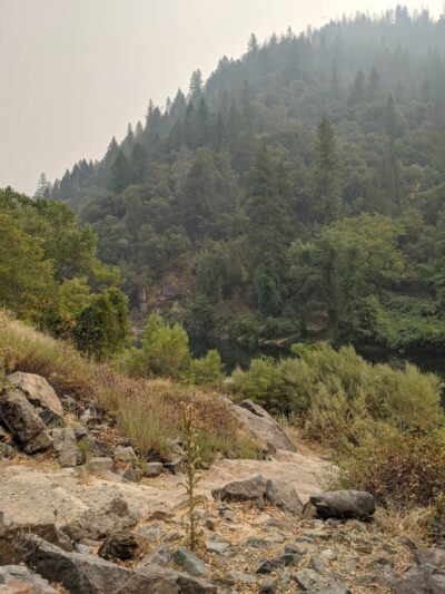 Ruck-a-Chucky Campground - Greenwood, CA