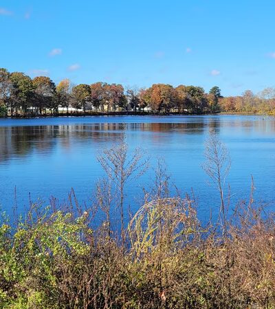 Milford Millponds Nature Preserve - Greenwood, DE