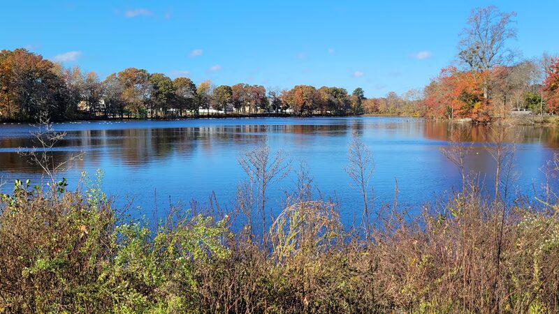 Milford Millponds Nature Preserve - Greenwood, DE
