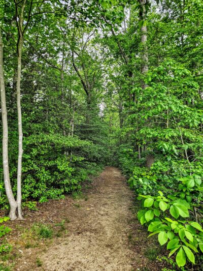 Milford Millponds Nature Preserve - Greenwood, DE