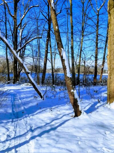 Milford Millponds Nature Preserve - Greenwood, DE