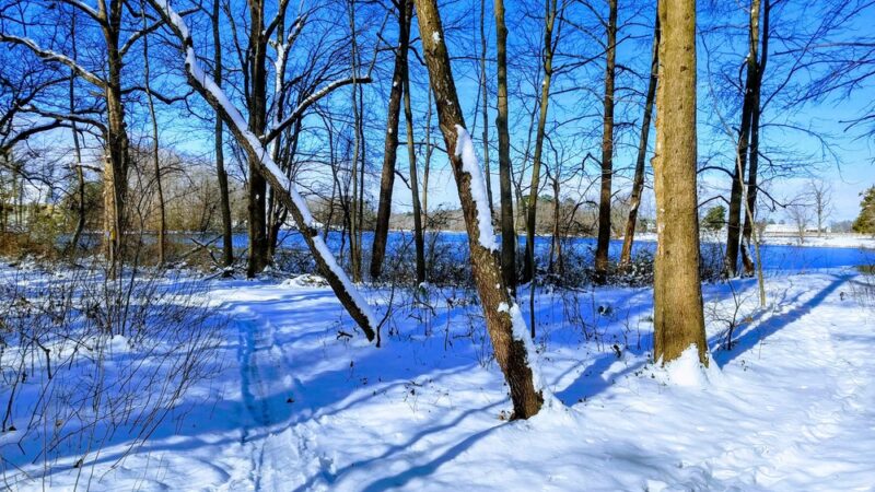 Milford Millponds Nature Preserve - Greenwood, DE