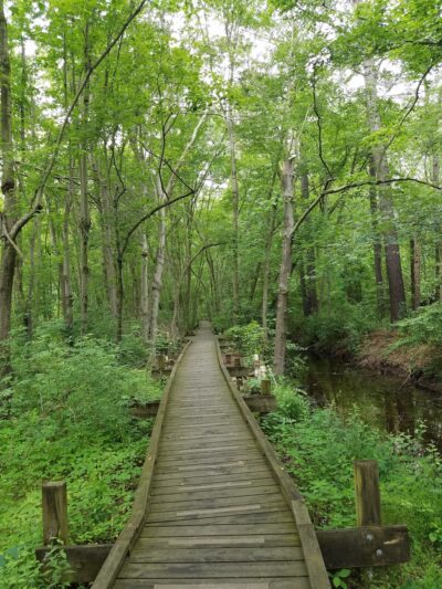 Milford Millponds Nature Preserve - Greenwood, DE