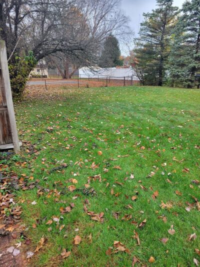 Cynthia's Dog Park - Greenwood, IN