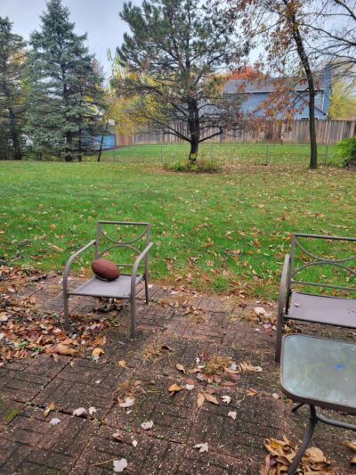 Cynthia's Dog Park - Greenwood, IN