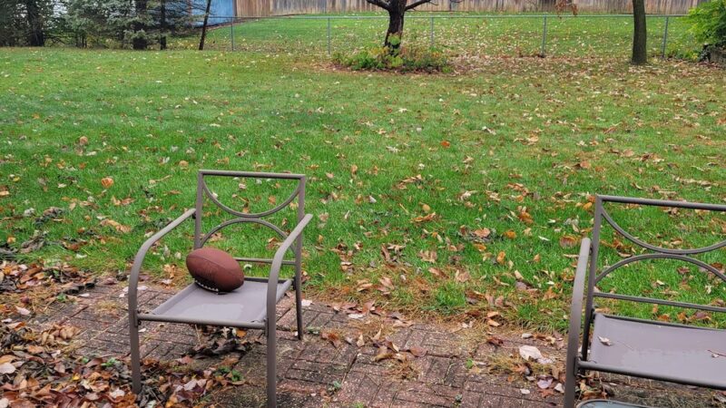 Cynthia's Dog Park - Greenwood, IN