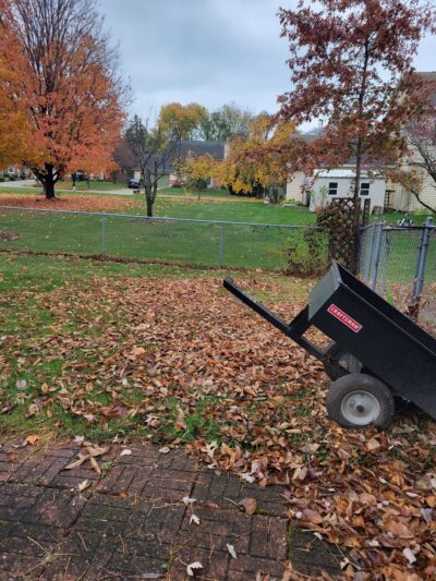 Cynthia's Dog Park - Greenwood, IN