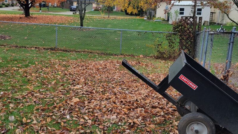 Cynthia's Dog Park - Greenwood, IN