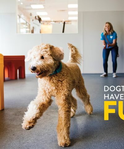 Dogtopia Greenwood - Greenwood, IN